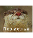 бывает тяжело не только людям